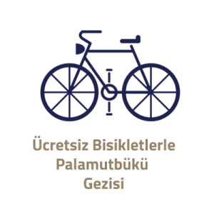 Ücretsiz Bisiklet
